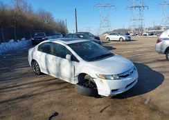 19XFA1F85AE085694: 44358360