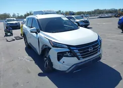 5N1BT3CB7RC746466: 44358529