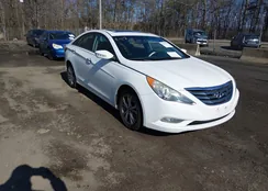 5NPEC4AC7DH678668: 44357606