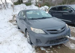 2T1BU4EE1BC555993: 44359236