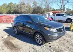 KNDPB3AC6F7787460: 44359404