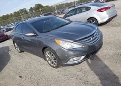 5NPEC4AB9CH365157: 44358935