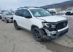 5FNYF8H87SB005307: 44359949