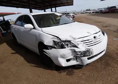 4T1BE46K89U909390: 44360341