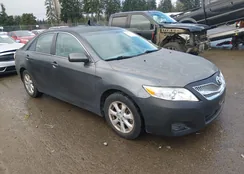 4T1BF3EK3BU131885: 44359570