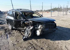 JTMZF4DV4AD022290: 44359598