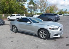 1FA6P8AM6H5202383: 44359602