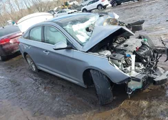 5NPE34AF2FH028174: 44360938