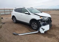 JTMRJREV6GD003677: 44361568