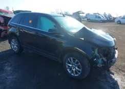 2FMDK4KC3DBC20212: 44361594