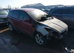 1FMCU0GX2EUD56207: 44361889