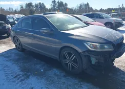 1HGCR3F84DA032727: 44363238