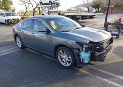 1N4AA5AP8BC828749: 44364156