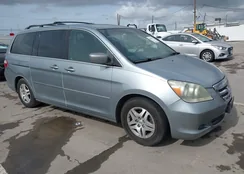 5FNRL38707B094281: 44364331