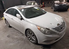 5NPEC4AB9BH247544: 44364412