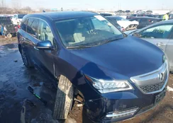 5FRYD4H49FB030807: 44363633