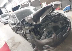 JN1BV7AP1FM353432: 44363729