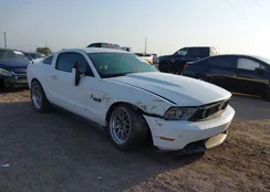 1ZVBP8CF3C5214620: 44363762