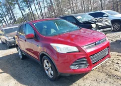 1FMCU0GX8EUD70497: 44364647