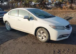 19XFB2F54FE036101: 44364712