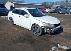 1HGCR2F55EA059873: 44366124