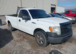 1FTNF1CF7EKE24782: 44366190