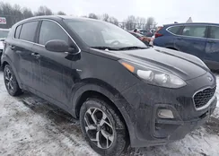 KNDPMCAC2M7902207: 44367079