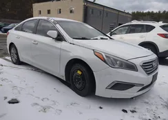 5NPE24AF2GH394804: 44367351