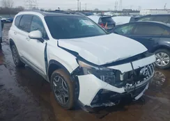 5NMS4DAL9MH341383: 44366586