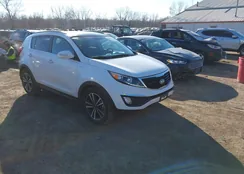 KNDPCCA69F7793504: 44366643