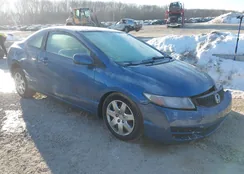 2HGFG1B66BH501276: 44366858