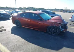 2C3CDXGJXMH511651: 44366862