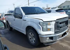 1FTMF1C85GKD37317: 44368087