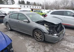 1N4BA41E17C809237: 44368644