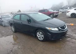 19XFB2F54FE704110: 44368664