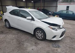 5YFBPRHE1FP247647: 44368800