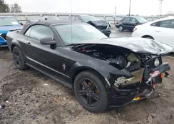 1ZVHT84N585148042: 44369958