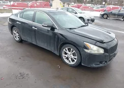 1N4AA5AP8CC800256: 44369616