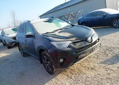 2T3RFREV7JW729043: 44371137