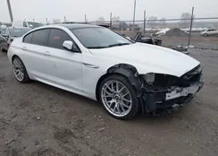 WBA6D6C55GG387703: 44370597