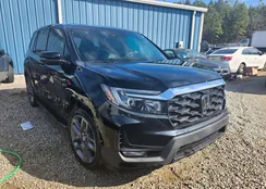 5FNYF7H56NB005142: 44371918