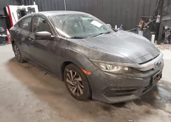 2HGFC2F74HH562591: 44372326