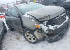 2FMDK4JC6DBE15495: 44372359