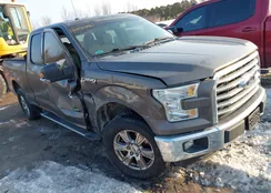 1FTFX1EG4FFC13038: 44372994