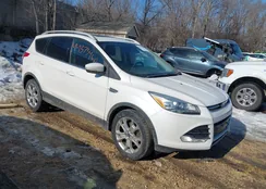 1FMCU9J90EUD31689: 44373460