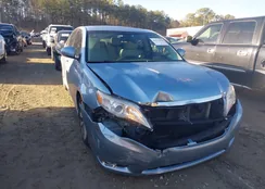 4T1BK3DB9BU440029: 44374318