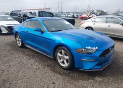 1FA6P8TH7K5199923: 44374484