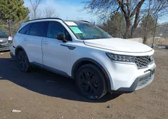 5XYRLDLCXMG004052: 44373554