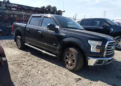 1FTEW1CG8FFB57235: 44373838