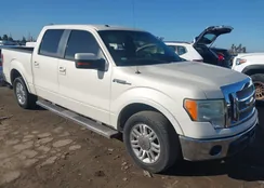 1FTPW12V39KC06894: 44375218